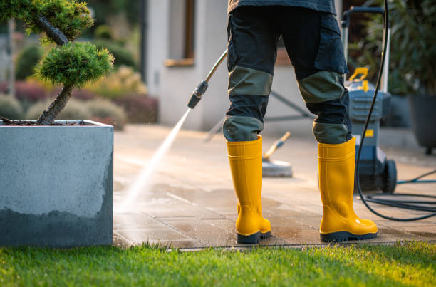 Professional Pressure Washing in Fyffe, AL